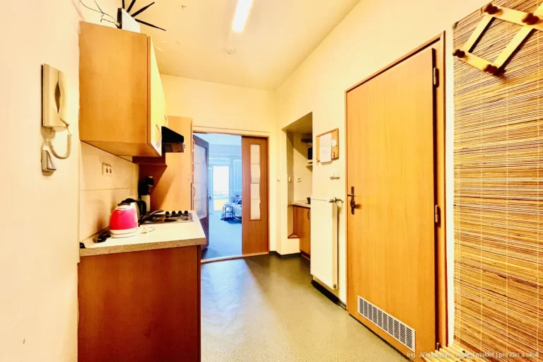 Pronajem byt Dlouha 01